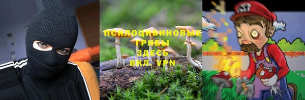 spice Балахна